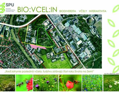 Projekt BIO:VCEL:IN v univerzitnom areáli SPU Nitra