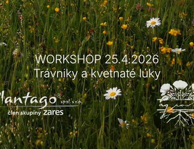WORKSHOP: Trávniky a kvetnaté lúky